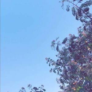 Meet your Posher, Noemi